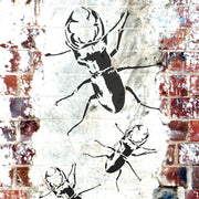 Stag Beetle Stencil