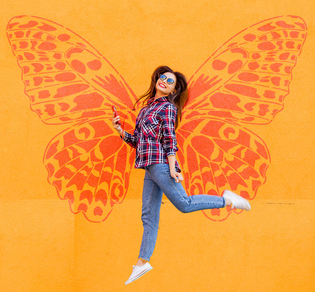 MASSIVE Wall Butterfly Mural STENCIL Set