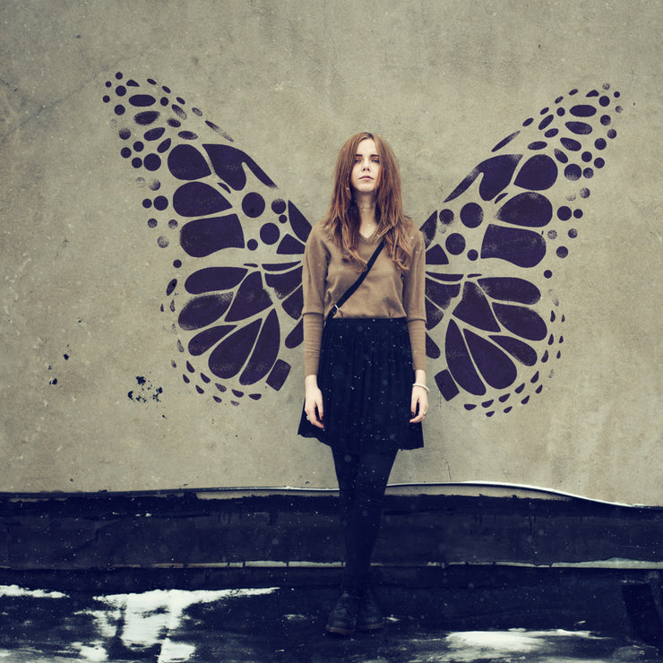 Butterfly Wings Wall Stencil