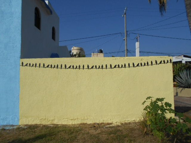 Birds on Wire Stencil