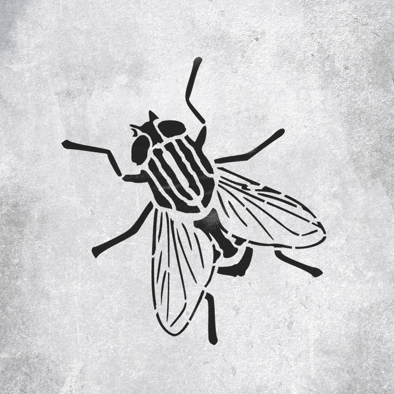 Fly Insect Stencil, Art Craft Decor Stencil – IdealStencils